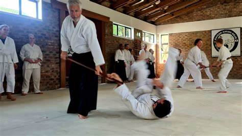 Fishoek-Aikido2.jpg